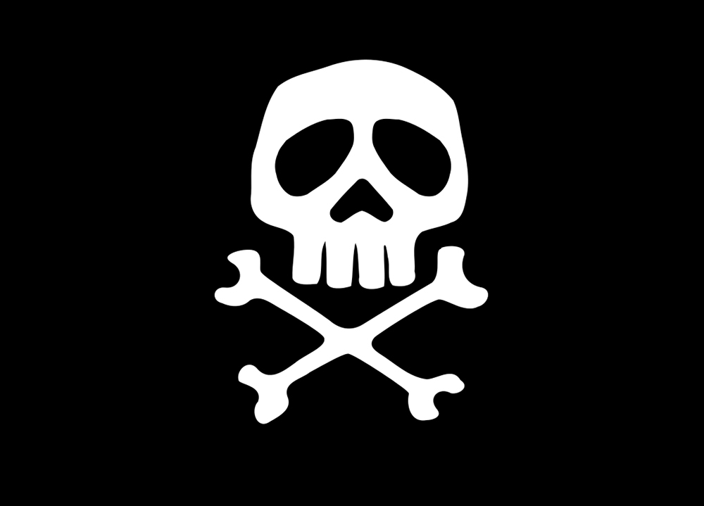Piratenflagge cm 20X30