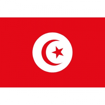 Tunesien Flagge